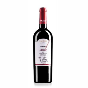 dalvina hermes merlot web.jpg